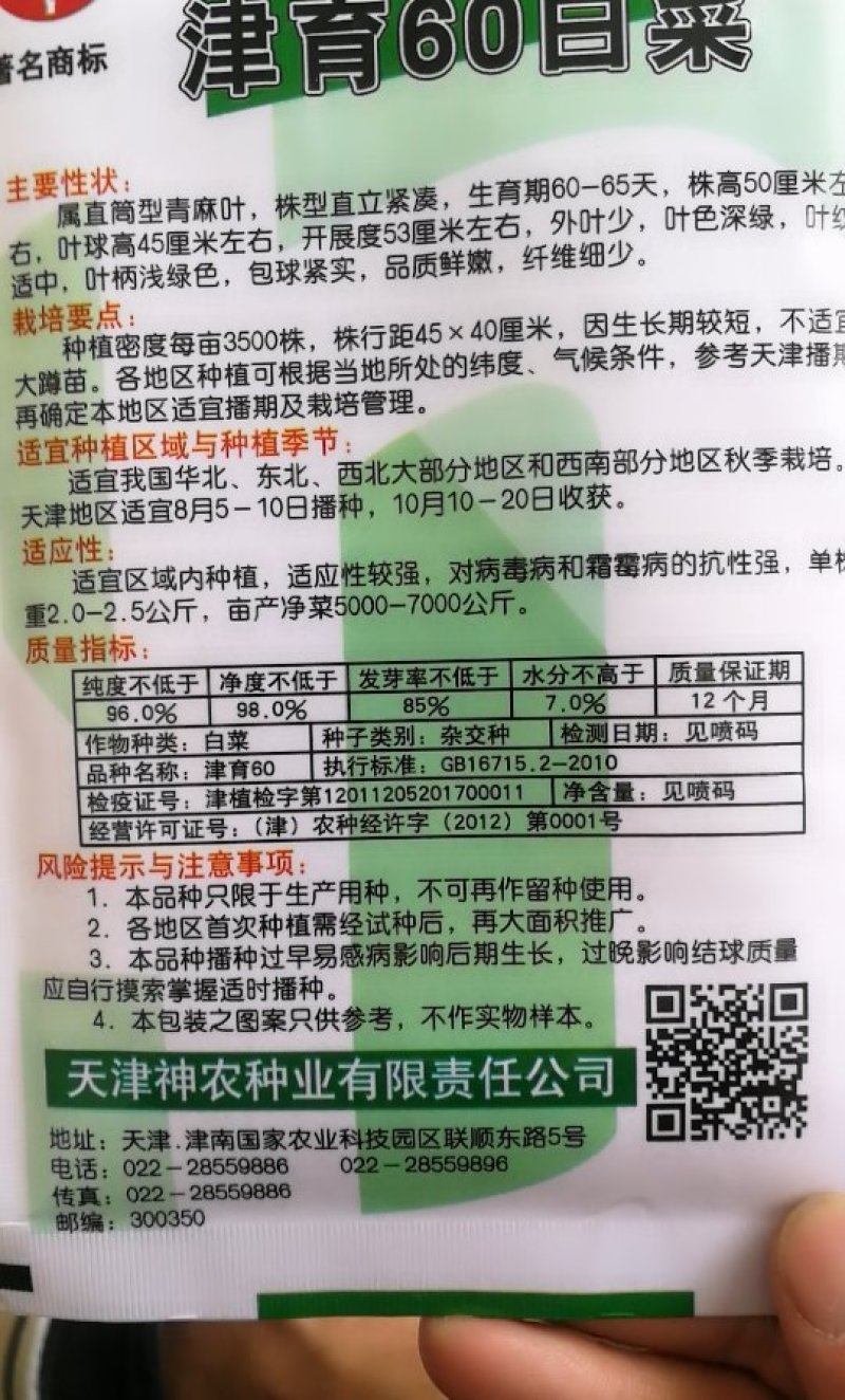 青麻叶白菜种子青口白白菜种子