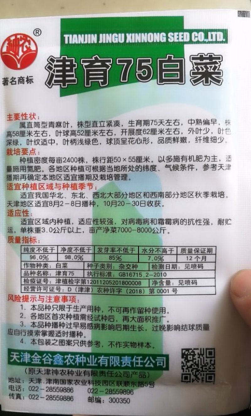 青麻叶白菜种子青口白白菜种子