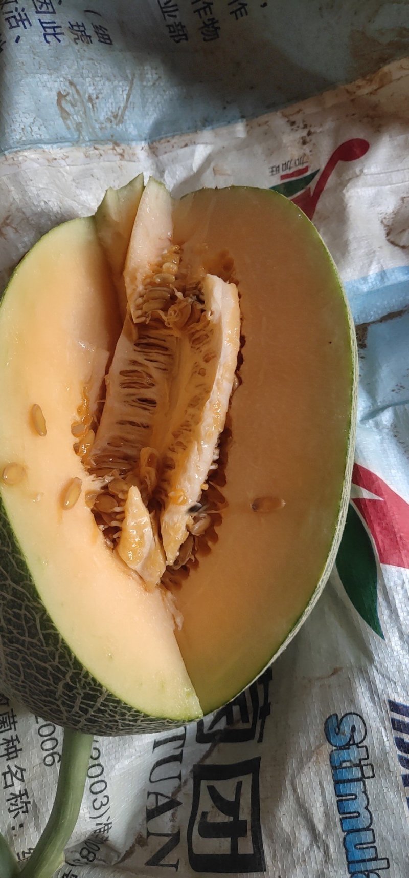 瓜果类