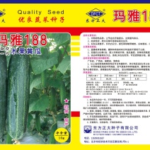 黄瓜种子牛商推荐量大从优