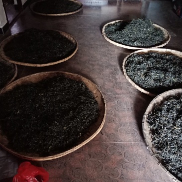普洱茶（刮风寨小树茶）
