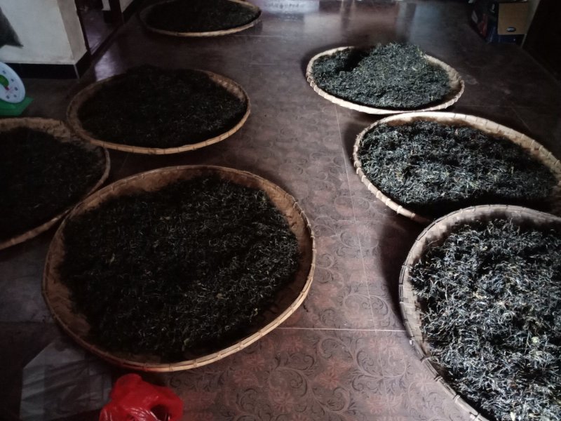 普洱茶（刮风寨小树茶）