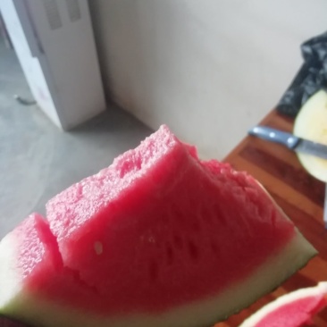 湖北钟祥无籽西瓜大量上市