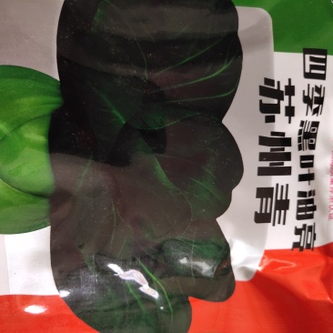 四季黑叶油亮苏州青，