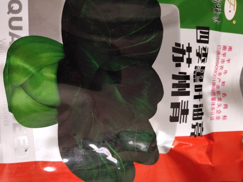 四季黑叶油亮苏州青，