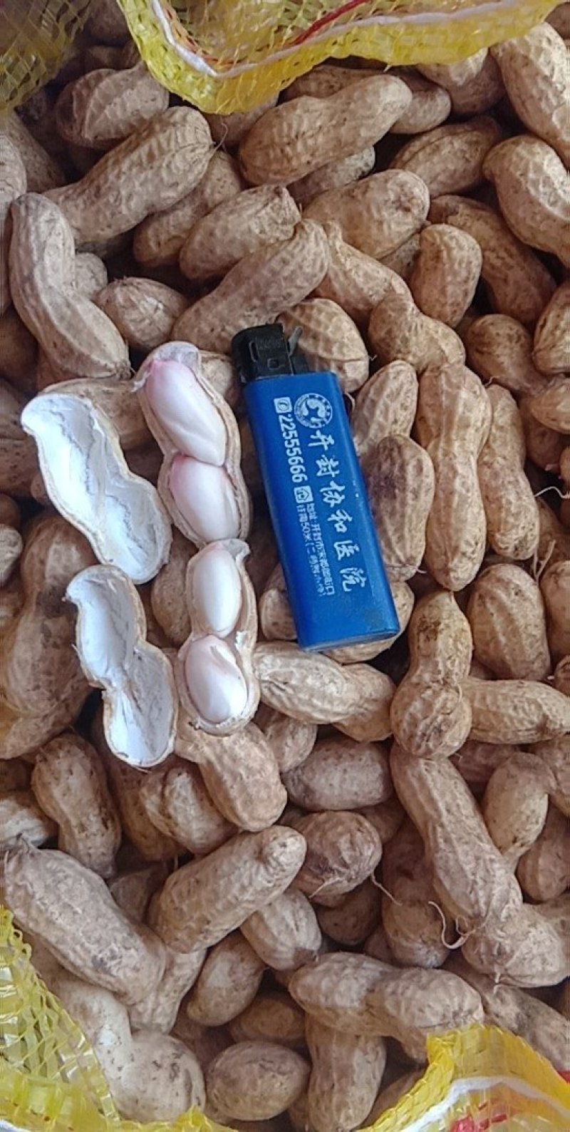 沙地鲜花生大果花生，籽粒饱满，走市场，对接商超