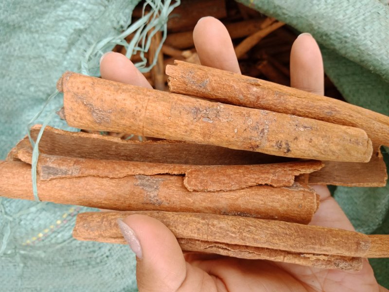 肉桂带皮肉桂桂心官桂调料桂皮药食同源油桂皮