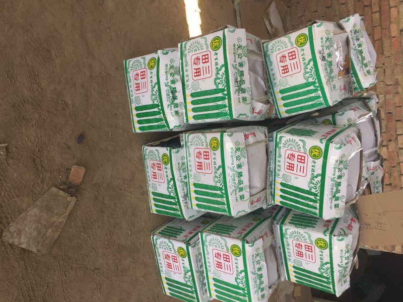 精品密刺黄瓜➖精品陆地黄瓜等等，各种质量都有大量货源