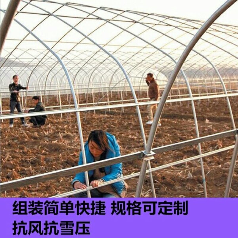 蔬菜大棚连体大棚养殖大棚规格齐全骨架包用15年不生锈