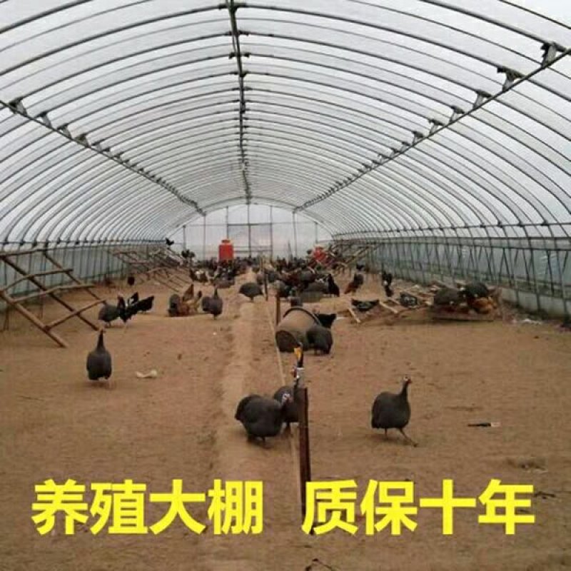 蔬菜大棚连体大棚养殖大棚规格齐全骨架包用15年不生锈