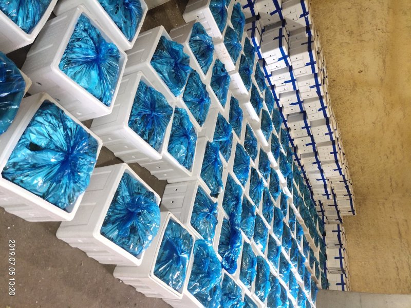 【精选】河北精品黄瓜电商供应实力代办鲜货批发量大优惠