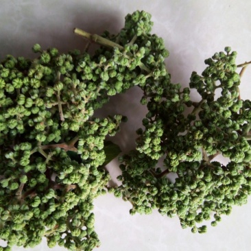 吴茱萸中花统全干无杂