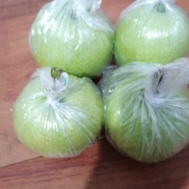 青皇冠梨库存7000件出库，无黑心无串皮甜度大硬度高。