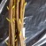 无刺嫁接枝条提供嫁接技术