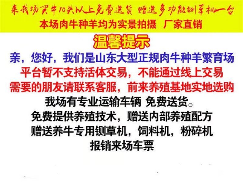 肉驴货到付款全国发货提供技术出售活驴苗各种小驴