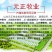 肉驴货到付款全国发货提供技术出售活驴苗各种小驴