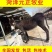 肉驴货到付款全国发货提供技术出售活驴苗各种小驴