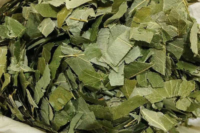淫羊藿优质固肾锁精品质保证