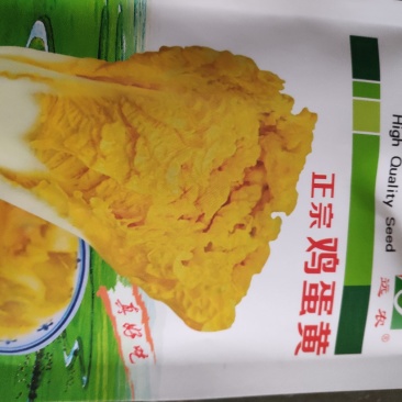 白菜种子一正宗鸡蛋黄黄心大白菜种子