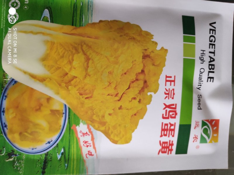 白菜种子一正宗鸡蛋黄黄心大白菜种子