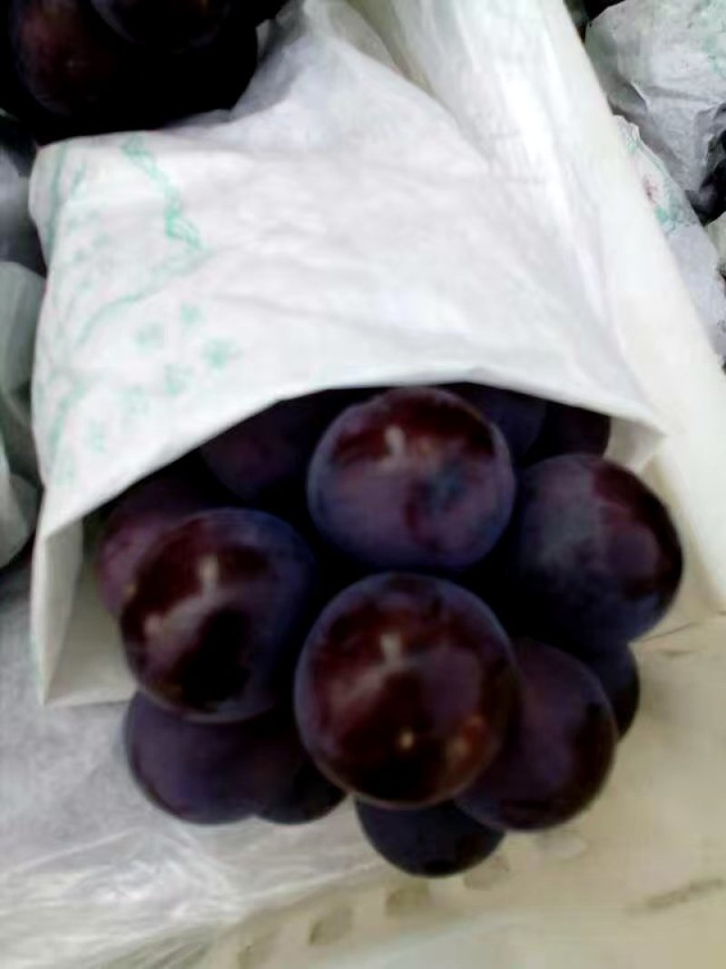 巨峰葡萄