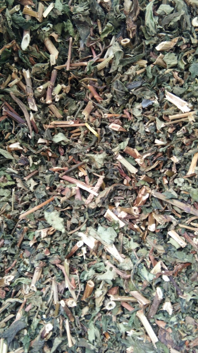 黄花败酱草