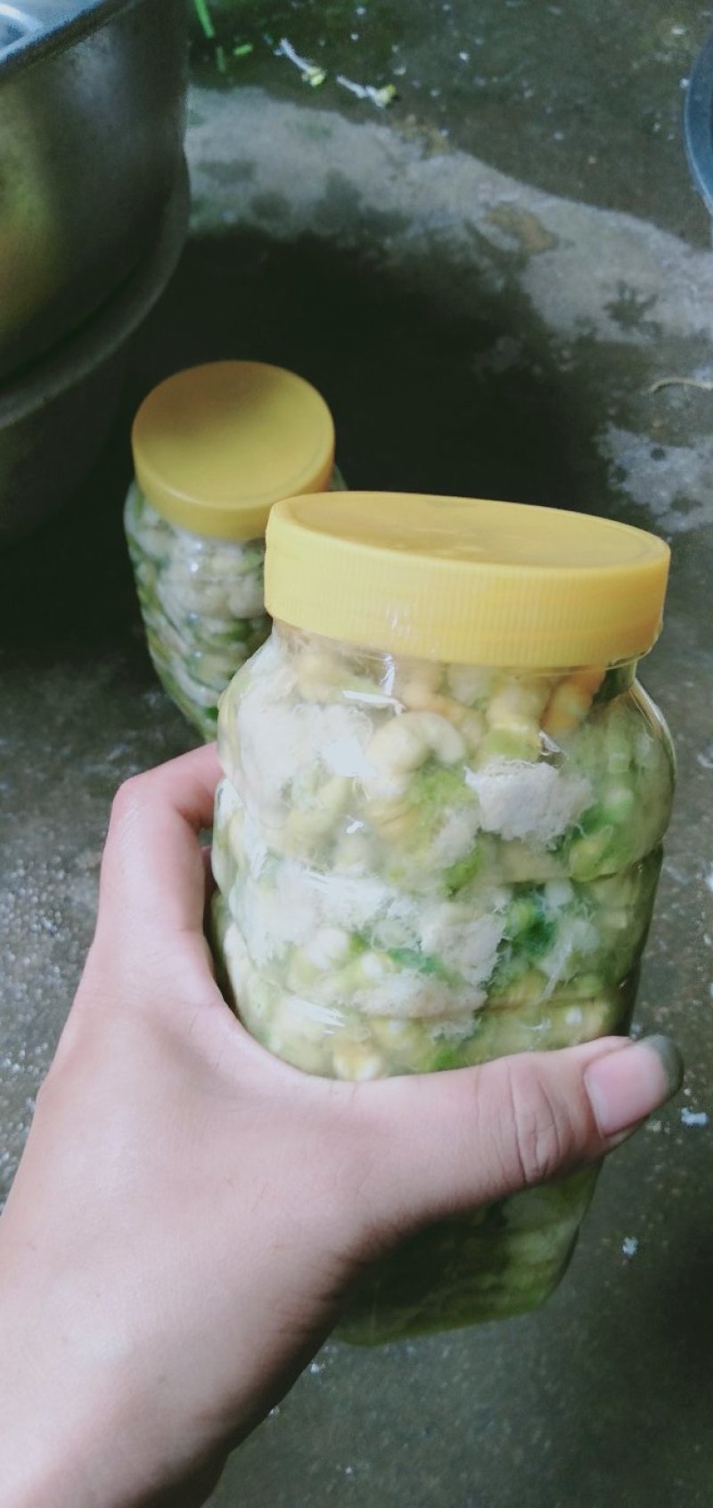 豆虫是一种高营养食材，它含有大量优质蛋白质，而且脂肪含量