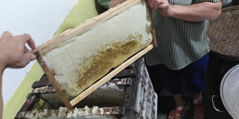 野生蜂蜜一年才在一次，支持包邮，一件代购