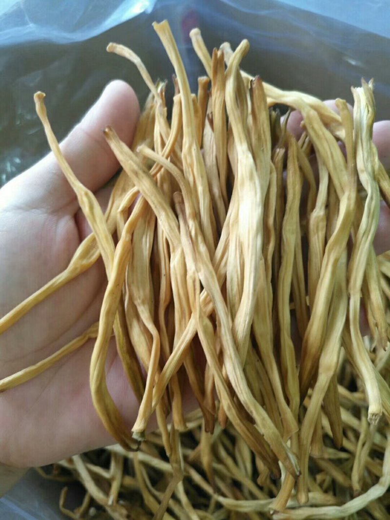 西北黄花菜，直条饱满，干度好，颜色靓！