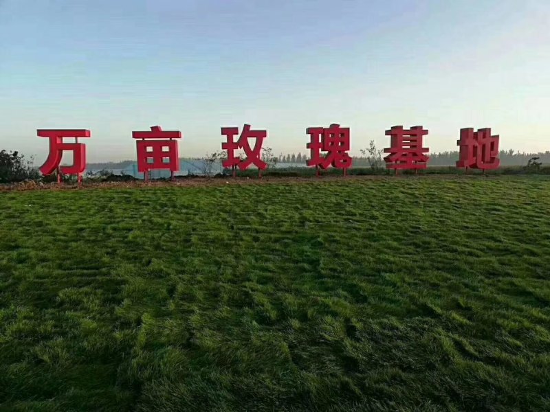 山东莒县万亩鲜切花基地。