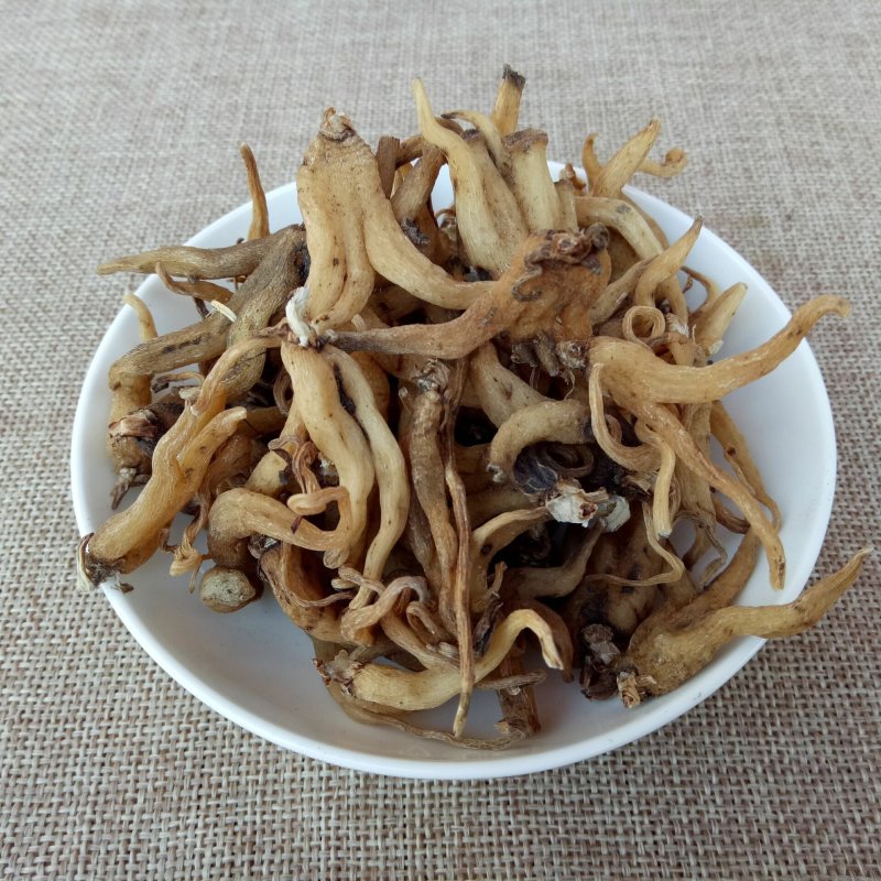 包邮手掌参佛手参供应上千种中药材批发零售