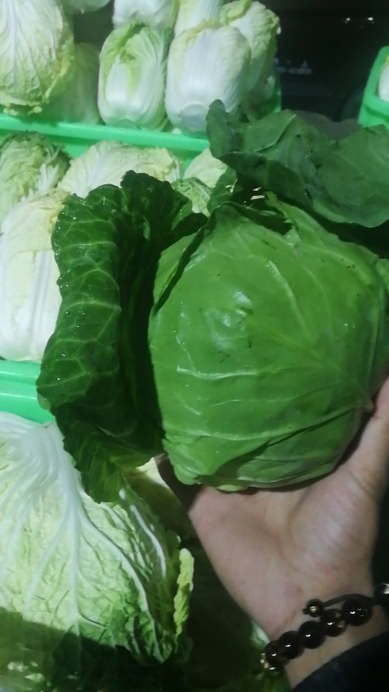兰州高原夏菜，大量上市，质高价优