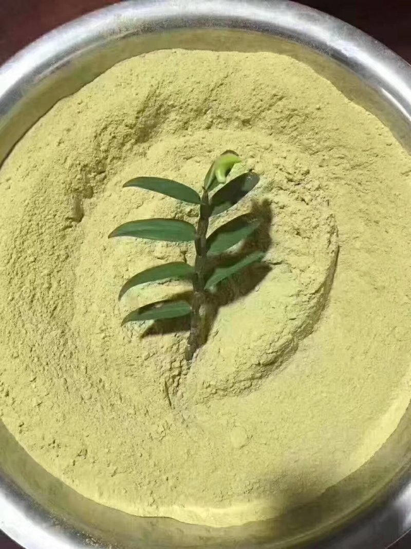 铁皮石斛