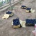 昌黎玫瑰香葡萄品保证信经营欢迎联系接商超市场电商