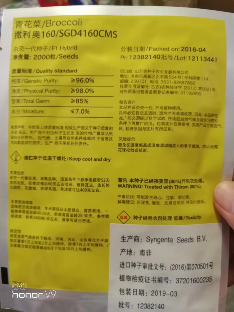 先正达进口西蓝花种子产品质量保证耐抽苔