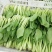 小青菜，杭白菜，米线