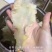 鳕鱼胶干货物美价廉礼盒费用另算250克起包邮