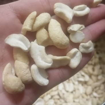 腰果碎进口越南生料，奶香味，半边烘培生料