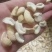 腰果碎进口越南生料，奶香味，半边烘培生料