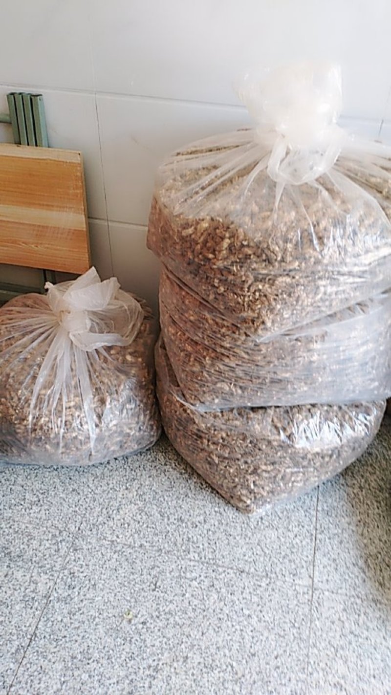 大别山金蝉花
