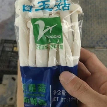 金针菇