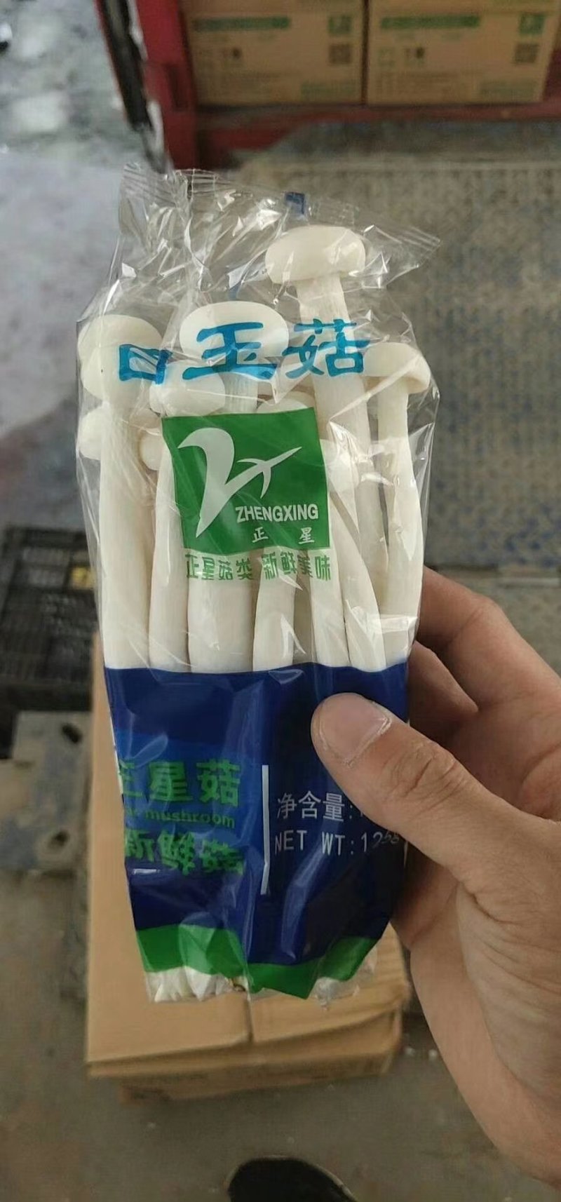 金针菇