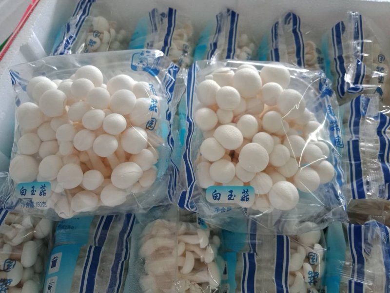 金针菇