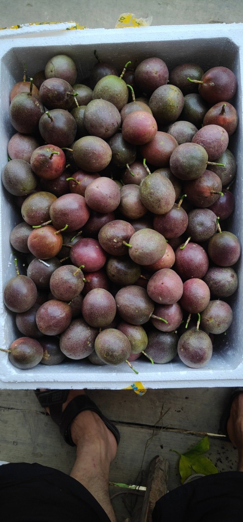 百香果