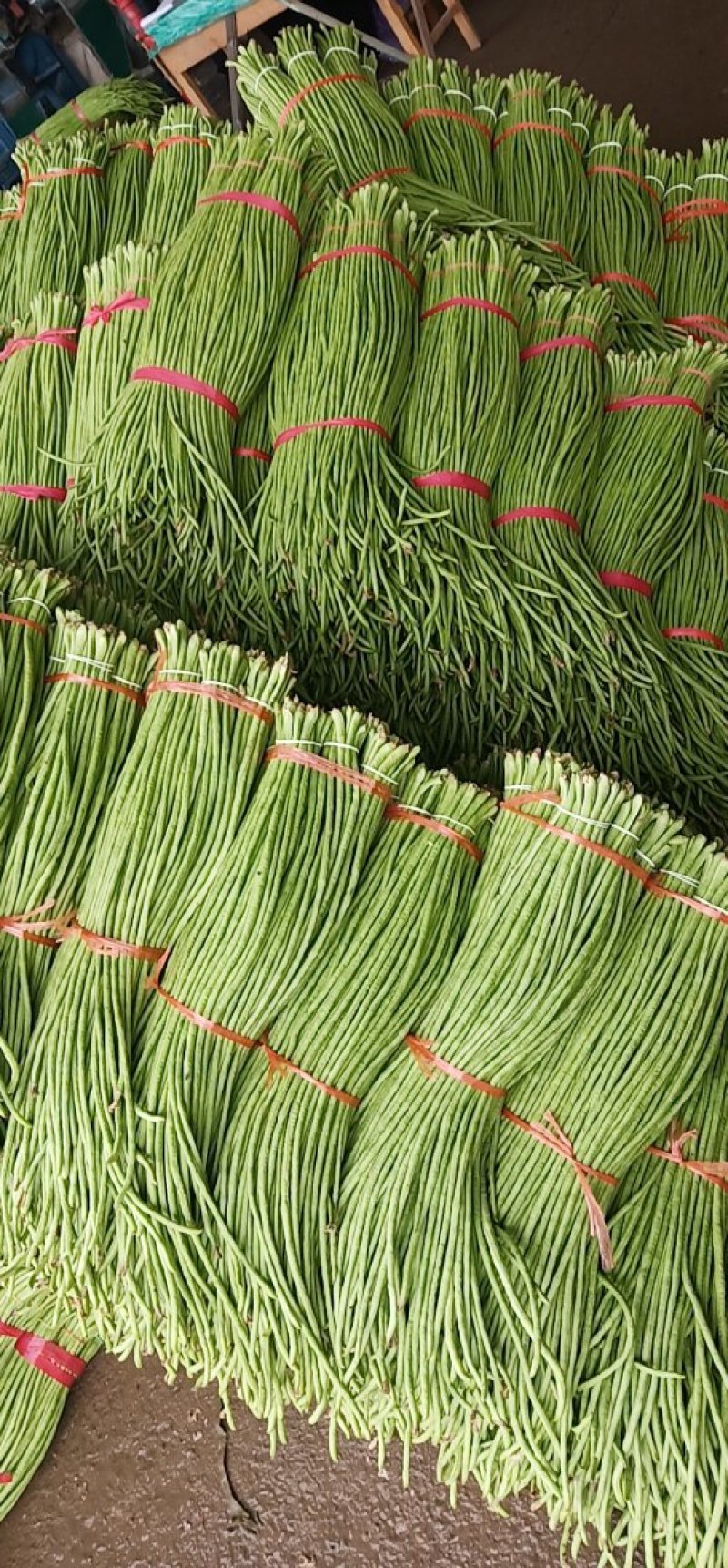 长豆角基地代办，豇豆，兰陵长豆角豇豆绿条豆角