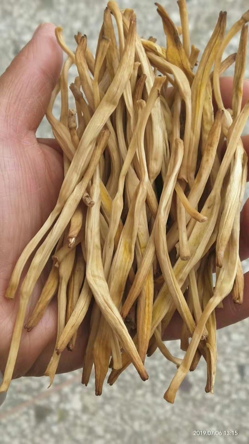 大荔黄花精品大白条