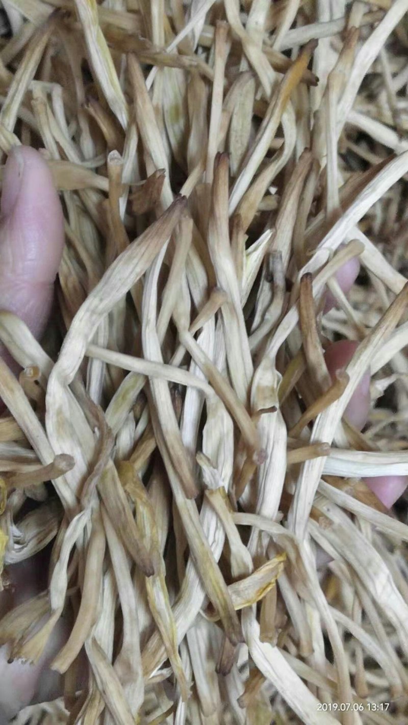 大荔黄花精品大白条