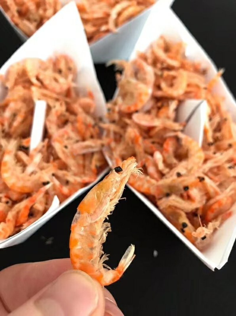 南极磷虾