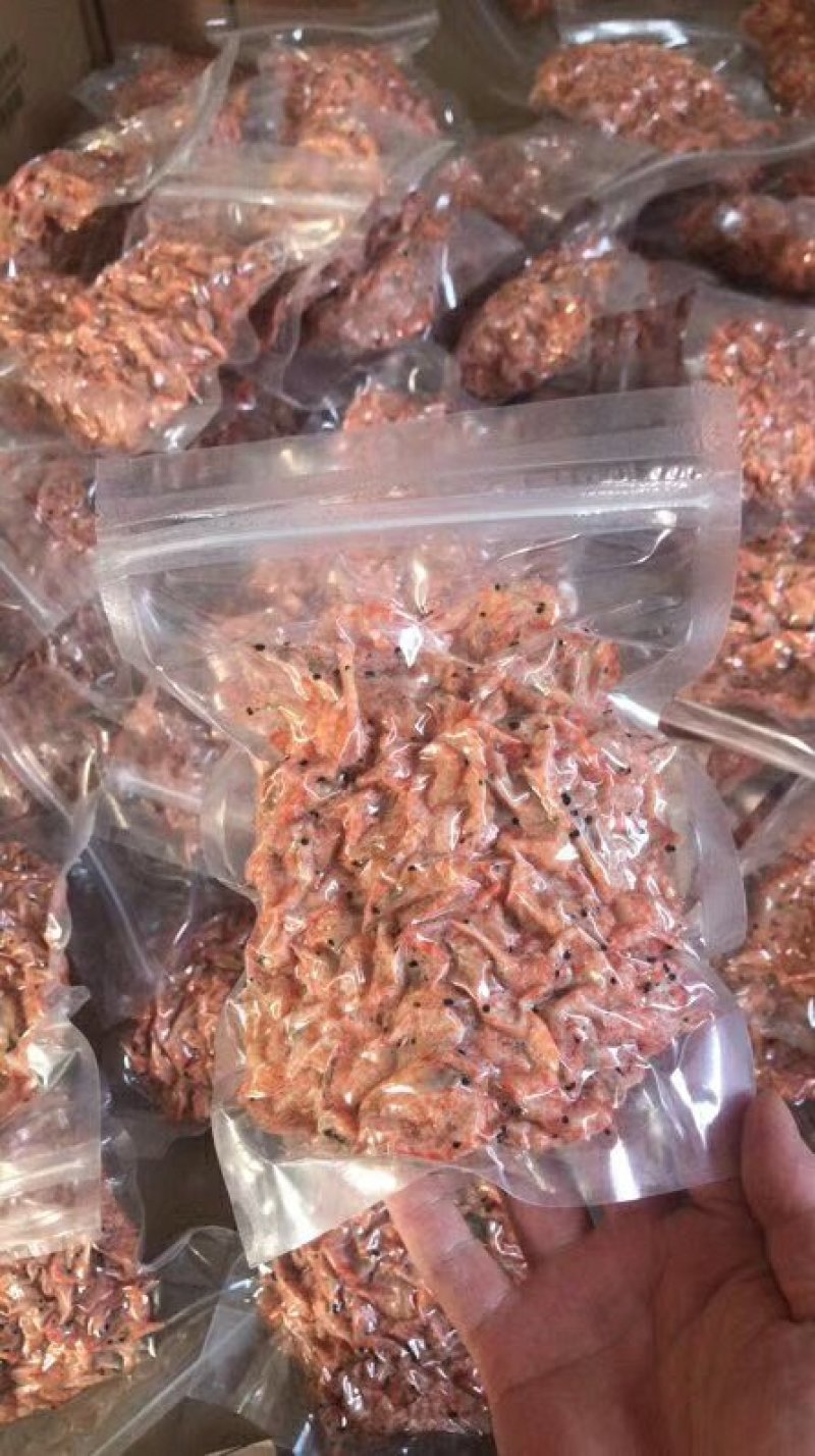 南极磷虾