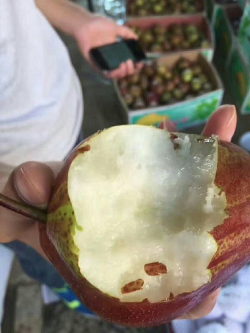 彩虹梨